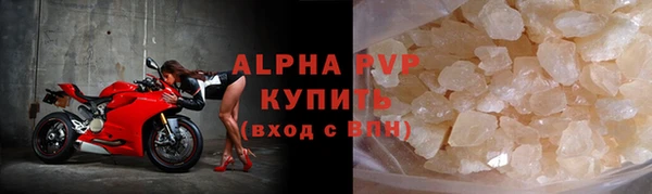 СК Волоколамск