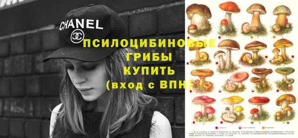 спиды Володарск