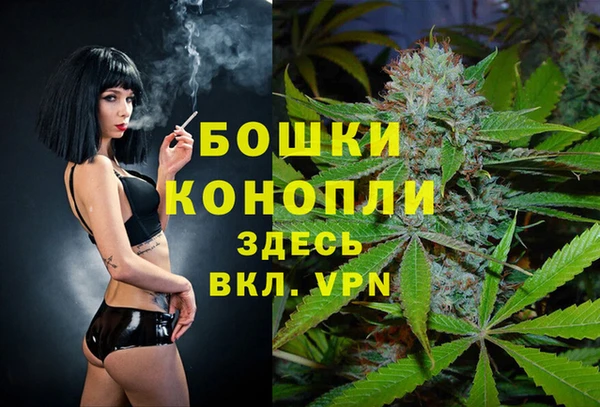СК Волоколамск