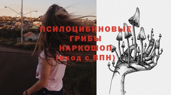СК Волоколамск