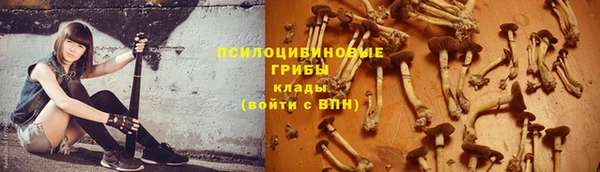 спиды Володарск