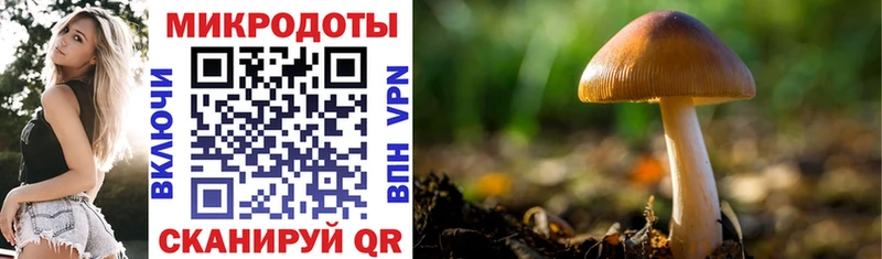 Псилоцибиновые грибы ЛСД  Купить где  Хотьково 